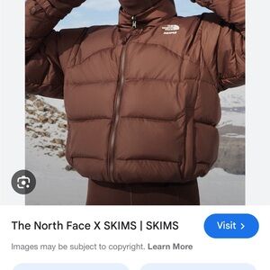 The North Face Chocolate Brown Puffer Jacket